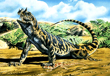 http://genesispanthesis.tripod.com/fossils/tetraceratops.gif